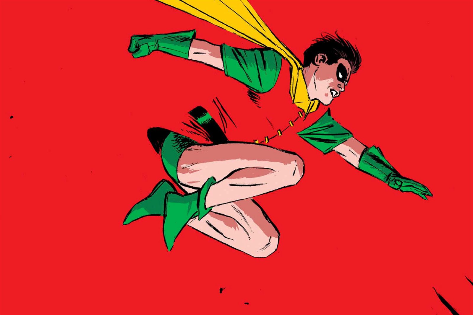 Robin 101: One Name, Many Heroes